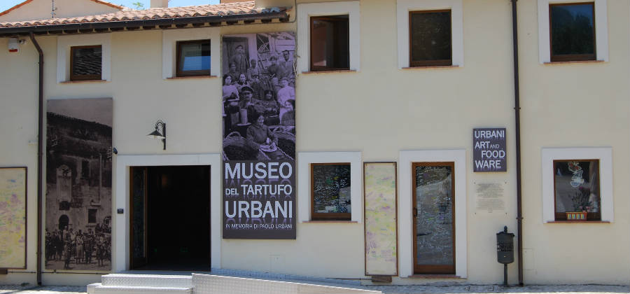 museo t